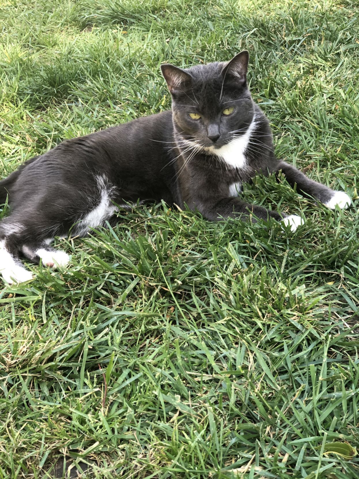 Jack
